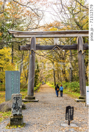 戸隠神社奥社鳥居と参道 戸隠神社奥社鳥居と参道 71312579