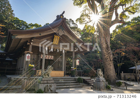 竈門神社 かまどじんじゃ 竈門神社 かまどじんじゃ 71313246