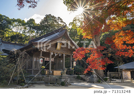 竈門神社　かまどじんじゃ 71313248