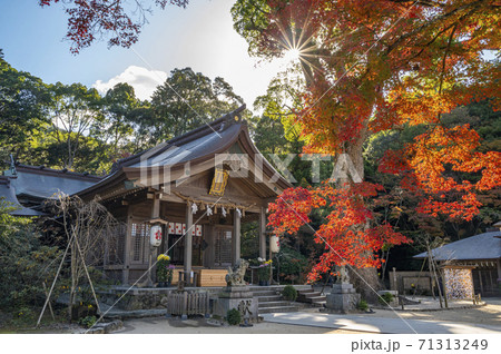 竈門神社 かまどじんじゃ 竈門神社 かまどじんじゃ 71313249