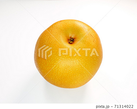 ナシ　梨　なし 71314022