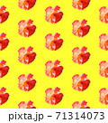 Seamless pattern with roses on a yellow background. 71314073