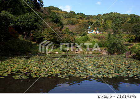佐賀　金立公園　金立山いこいの広場 71314348
