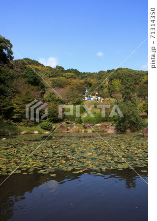 佐賀 金立公園 金立山いこいの広場 佐賀 金立公園 金立山いこいの広場 71314350