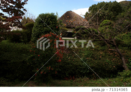 佐賀　金立公園　金立山いこいの広場 71314365