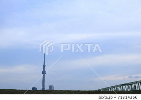 木根川橋と東京スカイツリー 71314366