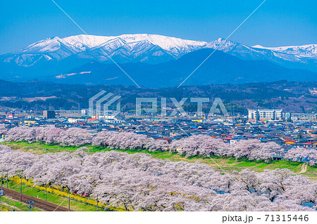東北の桜の名所　一目千本桜　【宮城県】 71315446