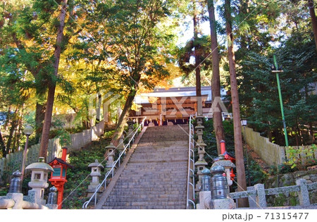 晩秋の枚岡神社の風景 71315477