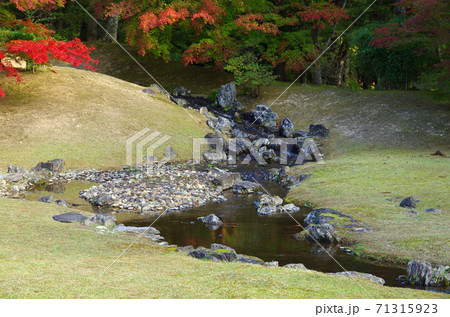 毛越寺の遣水 毛越寺の遣水 71315923