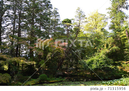 板敷山大覚寺へ行きました　　＃56 71315956