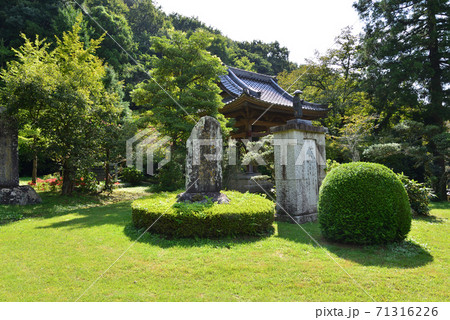 板敷山大覚寺へ行きました #68 板敷山大覚寺へ行きました #68 71316226