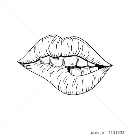 Lips Sketch Vector Illustration Mouth Teeth のイラスト素材