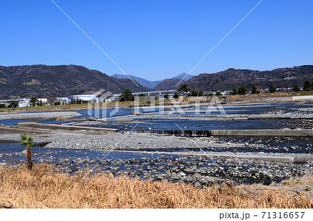 神奈川県松田 酒匂川遊歩道 大山方面  71316657