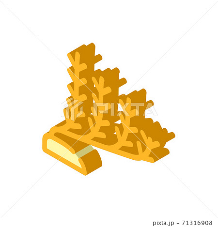 marine seaweed isometric icon vector illustration isolated marine seaweed isometric icon vector illustration isolated 71316908