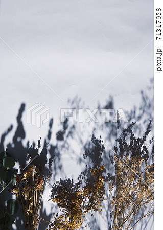 自然光とドライフラワーのある暮らし 71317058