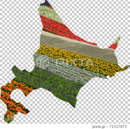 北海道地圖地形形狀的四個季節的山花田的照片|觀光圖片各縣的地圖 71317073