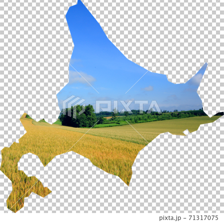 北海道的地圖地形形狀的宏偉的麥田和藍天的照片|農業旅遊圖像縣地圖 71317075