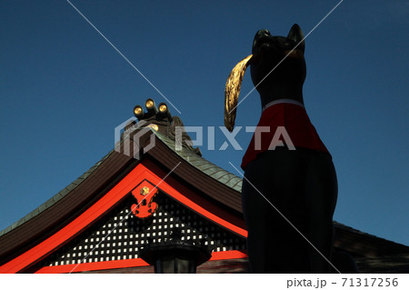 稲穂をくわえた伏見稲荷大社のお狐さま 71317256