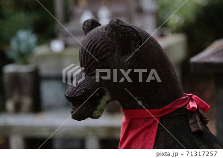 玉珠をくわえた清水寺のお狐さま 玉珠をくわえた清水寺のお狐さま 71317257