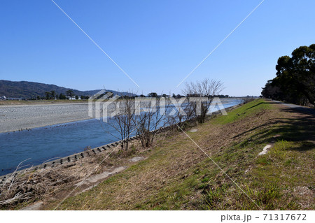 神奈川県松田 酒匂川河川敷 開成町 71317672