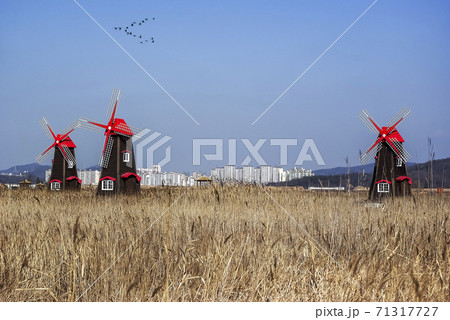 風景 仁川市 風車 71317727