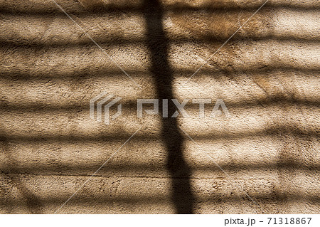 ブラインドの影が写り込む茶色のラグ 71318867