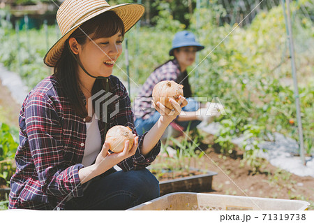 Farming 71319738