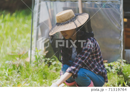 Farming Farming 71319764
