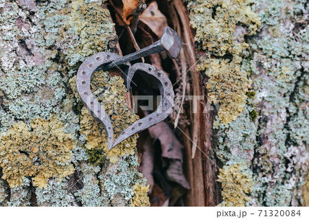 forged heart and nail love concept 71320084