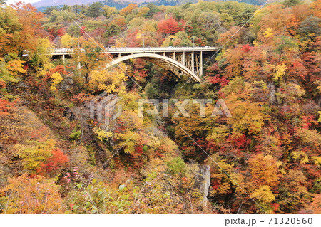 みちのく宮城の秋　鳴子峡の紅葉　大深沢橋 71320560