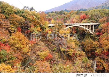 みちのく宮城の秋 鳴子峡の紅葉 大深沢橋 みちのく宮城の秋 鳴子峡の紅葉 大深沢橋 71320562