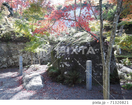 福島・文知摺観音（もちずり石） 71320821