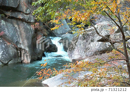 岩の間の流れと紅葉／昇仙峡（山梨県甲府市） 71321212