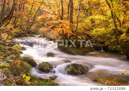 《青森県》秋の奥入瀬渓流・紅葉と清流 71322086