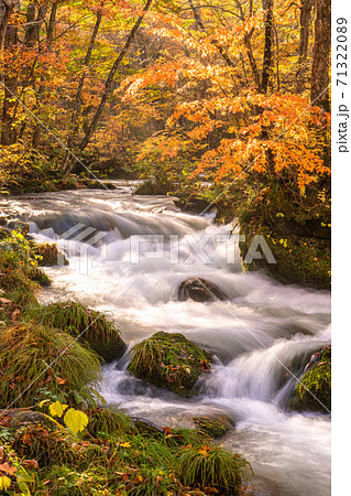 《青森県》秋の奥入瀬渓流・紅葉と清流 71322089