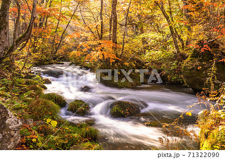 《青森県》秋の奥入瀬渓流・紅葉と清流 《青森県》秋の奥入瀬渓流・紅葉と清流 71322090