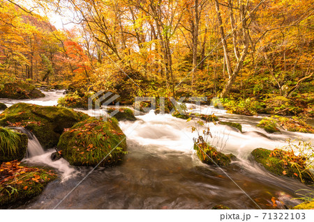《青森県》秋の奥入瀬渓流・紅葉と清流 71322103