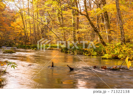 《青森県》秋の奥入瀬渓流・紅葉と清流 《青森県》秋の奥入瀬渓流・紅葉と清流 71322138