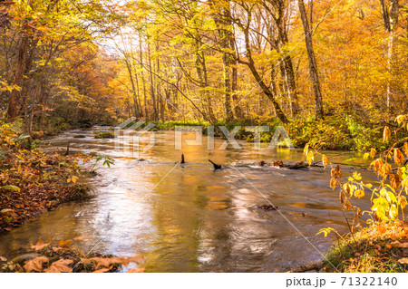 《青森県》秋の奥入瀬渓流・紅葉と清流 《青森県》秋の奥入瀬渓流・紅葉と清流 71322140