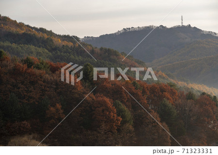 麟蹄郡 風景 夜明け 71323331