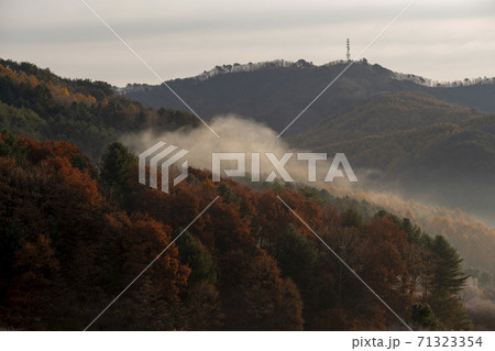 麟蹄郡 風景 夜明け 71323354