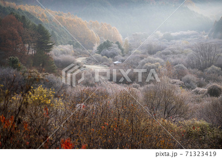 麟蹄郡 風景 夜明け 71323419