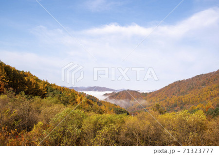 麟蹄郡 風景 秋 71323777