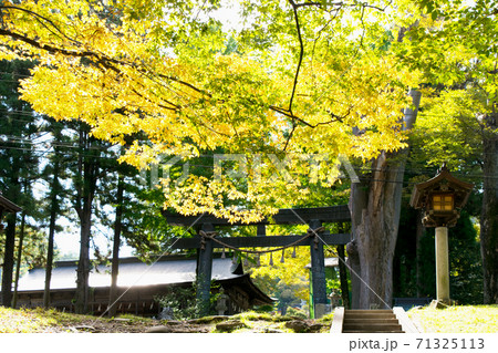 長野県 諏訪大社上社 前宮 鳥居 長野県 諏訪大社上社 前宮 鳥居 71325113