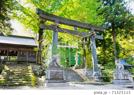 長野県　諏訪大社上社　前宮　鳥居 71325115