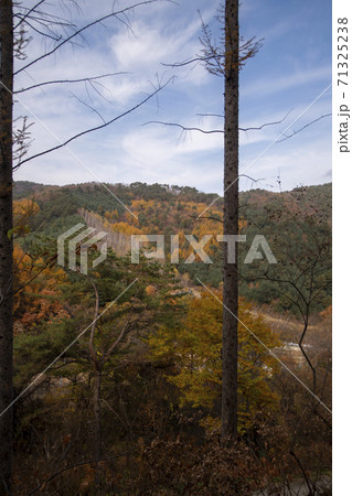 秋 麟蹄郡 風景 71325238