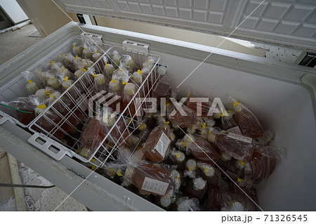 シゲタ動物薬品工業 貴重。