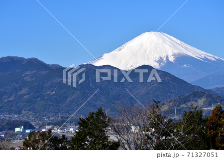 松田山展望 残雪の富士山 松田山展望 残雪の富士山 71327051