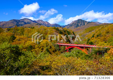 山梨・清里・東沢大橋と八ヶ岳の紅葉 71328366