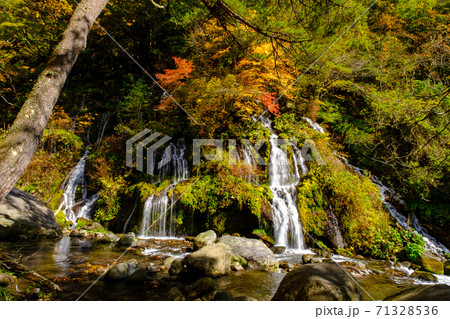 山梨・清里・紅葉の吐竜の滝 山梨・清里・紅葉の吐竜の滝 71328536